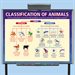 Classification of Animals-Class License (5 computers) CD-ROM