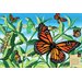 Butterfly Life Cycle Puzzle