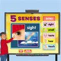 Five Senses Interactive Activities CD-Single License