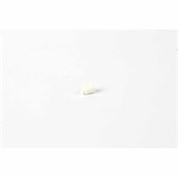Nienhuis - Bouton Blanc Pour Cartes / Inserts