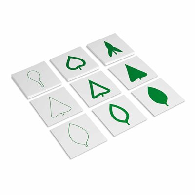 Nienhuis - Leaf Cards