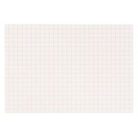 Nienhuis - Papier quadrillé : 10 mm - Paquet de 250
