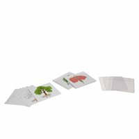 Nienhuis - First Set of Botany Cards