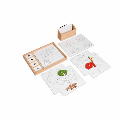 Nienhuis - Botany Puzzle Activity Set