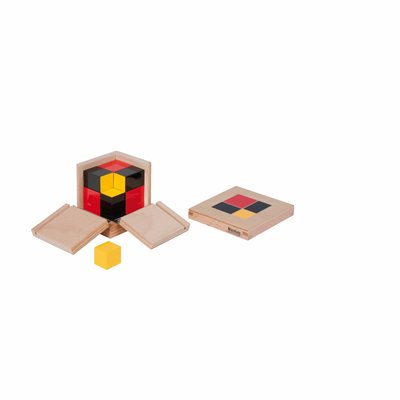 Nienhuis - Algebraic Binomial Cube