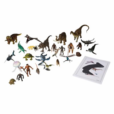 Animals And Book For The Black Ribbon Animals And Book For The Black Ribbon