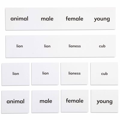 Animal Names