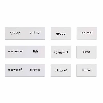 Nienhuis - Les animaux et leurs groupes
