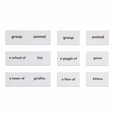 Nienhuis - Animals And Their Groups