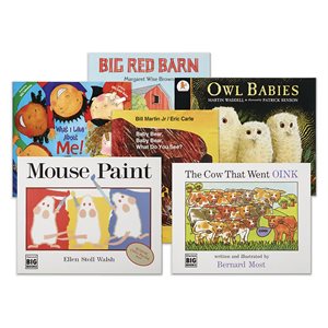 Big Book Favourites - Set 4