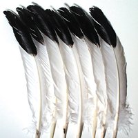 Imitation Eagle Feathers - 12 Per Pack