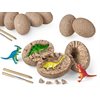 Oeufs de dinosaure Creusez et découvrez - Lot de 12 Oeufs de dinosaure Creusez et découvrez - Lot de 12