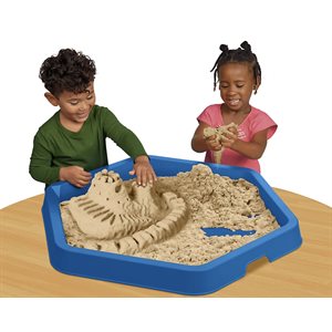 Sensory Discovery Tray
