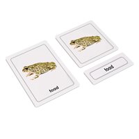 Amphibians 3 Part Cards (Plastic & Cut)
