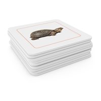 Reptiles Matching Cards (Plastic & Cut)