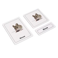 Mammals 3 Part Cards (Plastic & Cut)