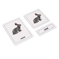 Domestic Animals 3 Part Cards (Plastic & Cut)
