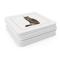 Domestic Animals Matching Cards (Plastic & Cut)