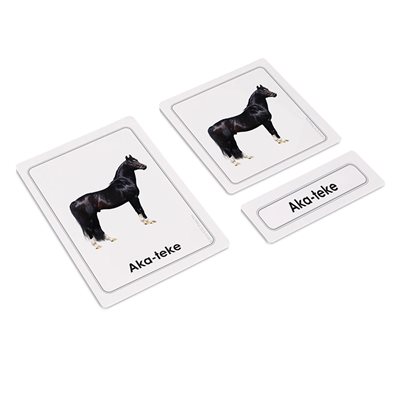 Horses 3 Part Cards (Plastic & Cut)  Horses 3 Part Cards (Plastic & Cut)