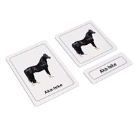 Horses 3 Part Cards (Plastic & Cut)