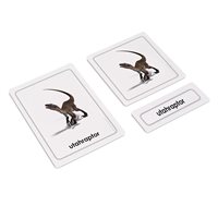 Dinosaurs 3 Part Cards (Plastic & Cut)