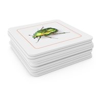Insects Matching Cards (Plastic & Cut)