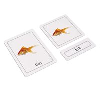  Parts of a Fish (Osteicthyes) (Plastic & Cut)