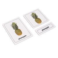Fruits 3 Part Cards (Plastic & Cut)