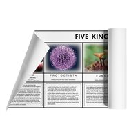Five Kingdom Chart (Plastic & Cut)