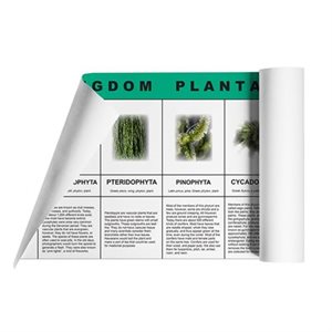 D- Plant Kingdom Charts (2pc. Kit) Card Stock