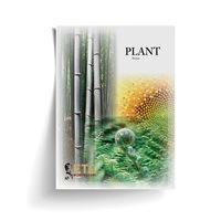 Plant Stories (Plastic & Cut)