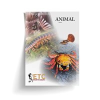 Animal Stories (Plastic & Cut)