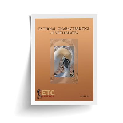  External Characteristics Of Vertebrates