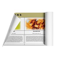  The Three Domains (Plastic & Cut)