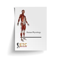 Human Physiology - Complete Set (Plastic & Cut)