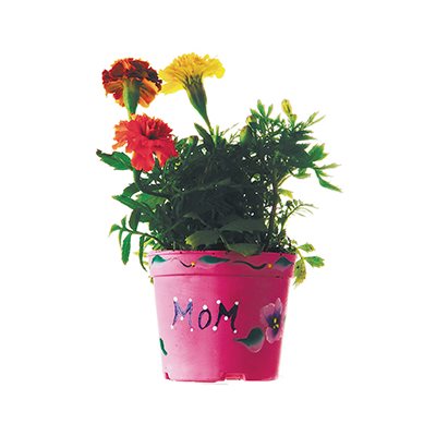  Authentic Flower Garden - Pack of 50