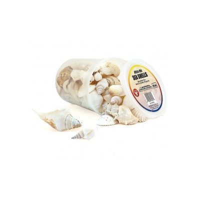 Seau O' Coquillages 16 Oz. Blanc