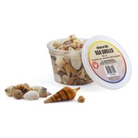 Bucket O' Seashells 10 Oz. Natural