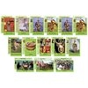 Educational Card Set - Powwow