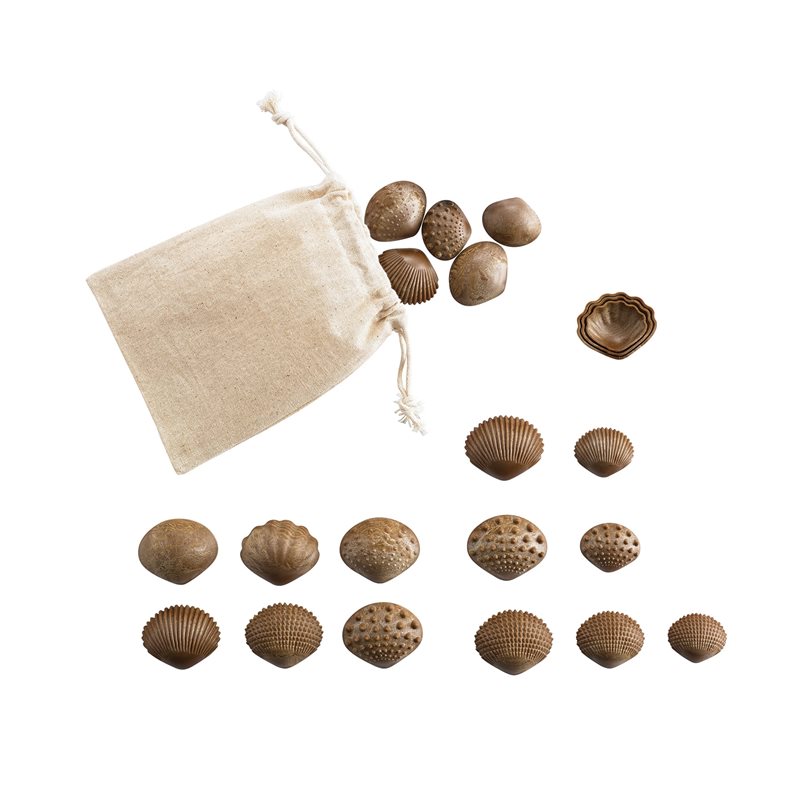 Sensory Match Seashells