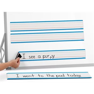 Magnetic Write & Wipe Sentence Strips