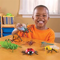 Insectes géants