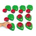 Match de numéro de coccinelle