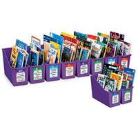 Level R Nonfiction Book Bin