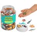 Compteurs d'animaux marins