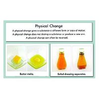 D- Physical and Chemical Changes