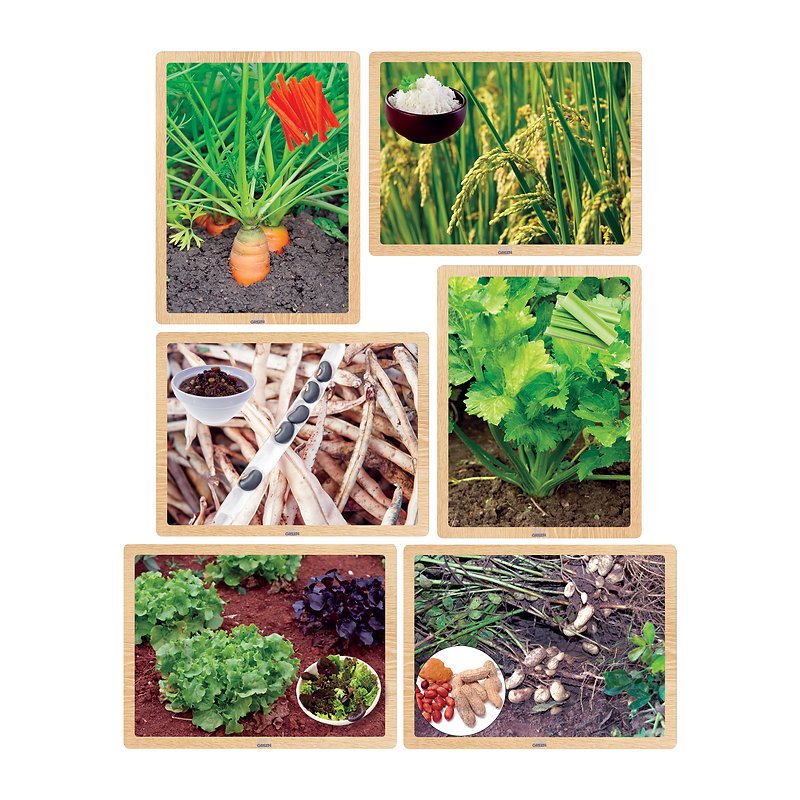Aliments de la terre en bois - Puzzle - 6pc Aliments de la terre en bois - Puzzle - 6pc