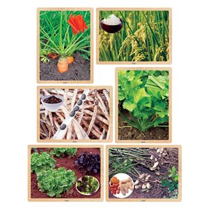 Foods from the Earth Wooden - Puzzle - 6pc
