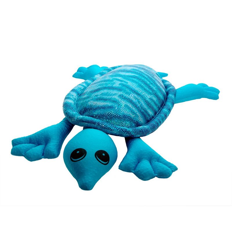 Weighted Turtle