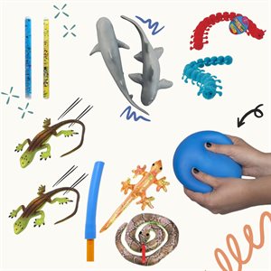 Sensory Kit for the Classroom